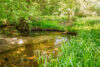 Am Bach - An einem Bach gelegen und mit Ferienhaus - Idyllisches Feriengrundstück in Rehfelde